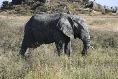 DSC_3845 (Large).JPG